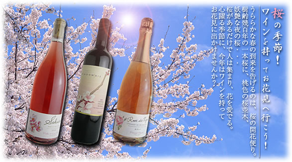 桜の季節！ワインを持ってお花見へ行こう！うららかな春の到来を告げるのは、桜の開花便り。樹齢幾百年の一本桜に、桃色の桜並木、妖艶な夜の桜・・・桜があるだけで人は集まり、花を愛でる。心躍る季節に、今年はワインを持ってお花見に出かけませんか？