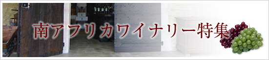 南アフリカワイナリー特集