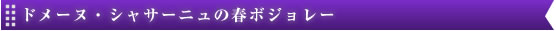 ドメーヌ・シャサーニュの春ボジョレー 