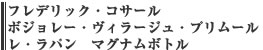 フレデリック・コサール ボジョレー・ヴィラージュ・プリムール レ・ラパン　マグナムボトル