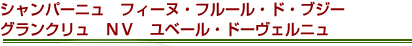 シャンパーニュ　フィーヌ・フルール・ド・ブジー　グランクリュ　ＮＶ　ユベール・ドーヴェルニュ