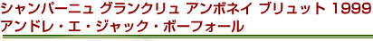 シャンパーニュ　グランクリュ　アンボネイ　ブリュット　1999　アンドレ・エ・ジャック・ボーフォール