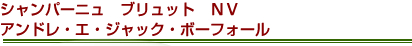 シャンパーニュ　ブリュット　ＮＶ　アンドレ・エ・ジャック・ボーフォール