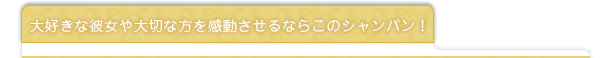 大好きな彼女や大切な方を感動させるならこのシャンパン！