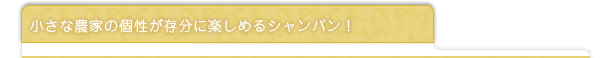 小さな農家の個性が存分に楽しめるシャンパン！