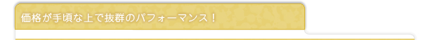 価格が手頃な上で抜群のコストパフォーマンス！