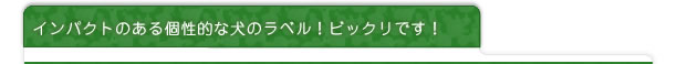 インパクトのある個性的な犬のラベル！ビックリです！