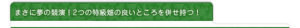 まさに夢の競演！2つの特級畑の良いところを併せ持つ！