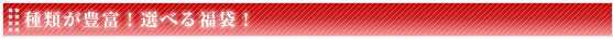種類が豊富！選べる福袋！