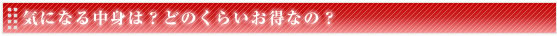 気になる中身は？どのくらいお得なの？