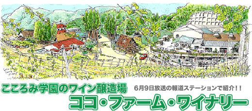 こころみ学園のワイン醸造場　ココ・ファーム・ワイナリー　6月9日に報道ステーションで紹介！