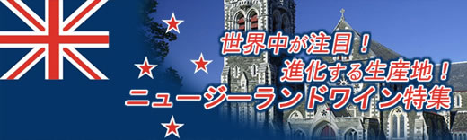 世界中が注目！進化する生産地！ニュージーランドワイン特集