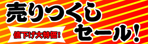 売りつくしセール！値下げ大特価！