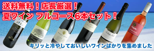 送料無料！店長厳選！夏ワイン　フルコース6本セット！