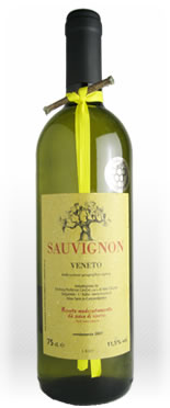 チェスコン　ソーヴィニヨンブラン　2011