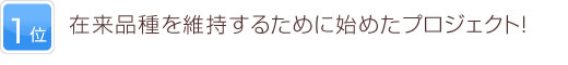1位 在来品種を維持するために始めたプロジェクト！