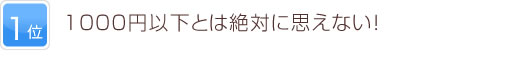 1位 1000円以下とは絶対に思えない！