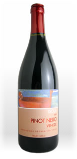 イゾラ　ピノノワール　2010