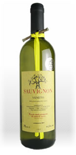 チェスコン　ソーヴィニヨンブラン　2013