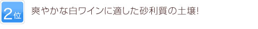 2位 爽やかな白ワインに適した砂利質の土壌！