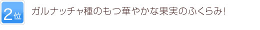 2位 ガルナッチャ種のもつ華やかな果実のふくらみ！