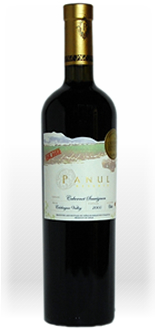 パヌール　カベルネソーヴィニョン　リザーブ　オークエイジド 2006