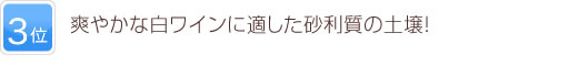 3位 爽やかな白ワインに適した砂利質の土壌！