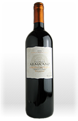 アラウカーノ　カベルネソーヴィニョン　2006