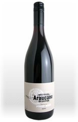 アラウカーノ　ピノノワール　2011