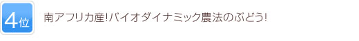 4位 南アフリカ産！バイオダイナミック農法のぶどう！