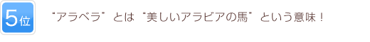 5位 “アラベラ”とは“美しいアラビアの馬”という意味！