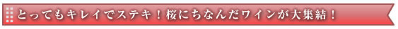 大勢でワイワイと楽しもう！ビッグサイズなワイン！