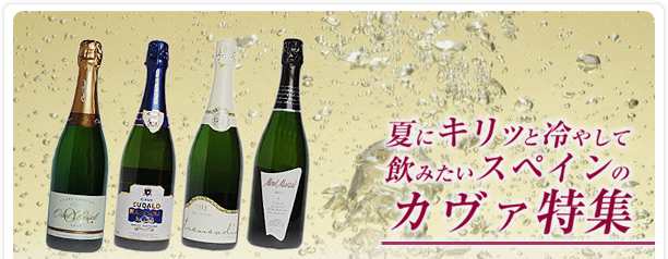 夏にキリッと冷やして、飲みたいスペインのカヴァ特集特集