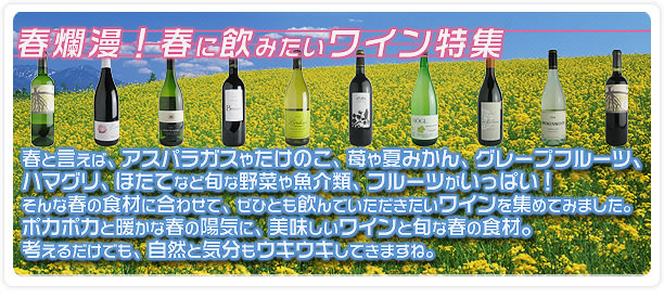 春爛漫！春に飲みたいワイン特集