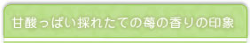 甘酸っぱい採れたての苺の香りの印象