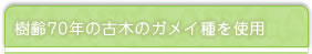樹齢70年の古木のガメイ種を使用